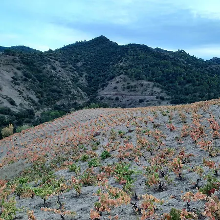 - La Cotxeria, Poboleda, Priorat Appartement *